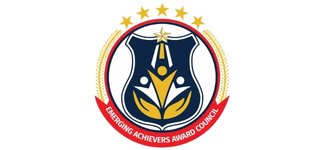 Emerging award